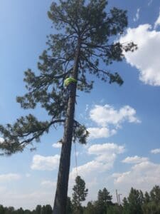 Climbing Climbing
