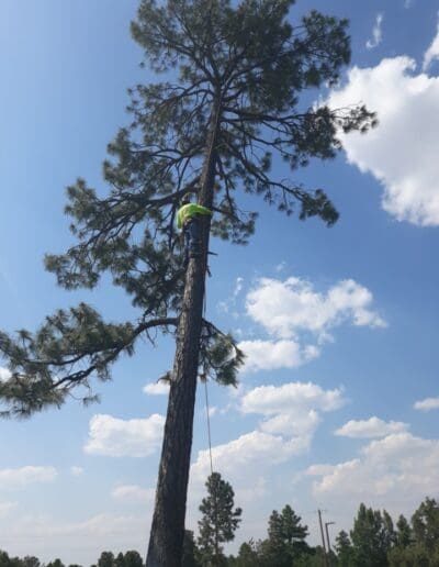 Climbing
